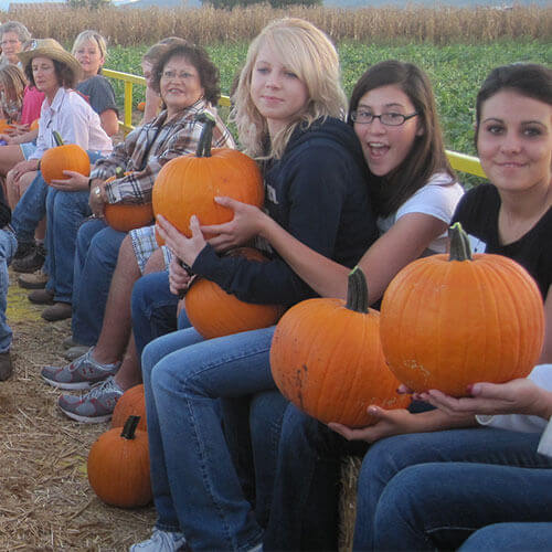 Enjoy delicious pick-your-own produce and farm fresh veggies at our pick-your-own pumpkin location!